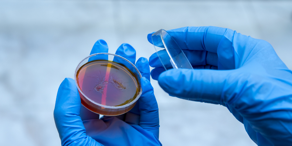 praxens décontamination microbiologique