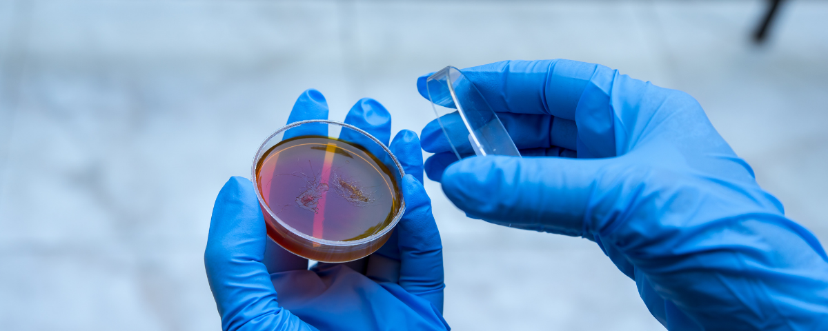 praxens décontamination microbiologique