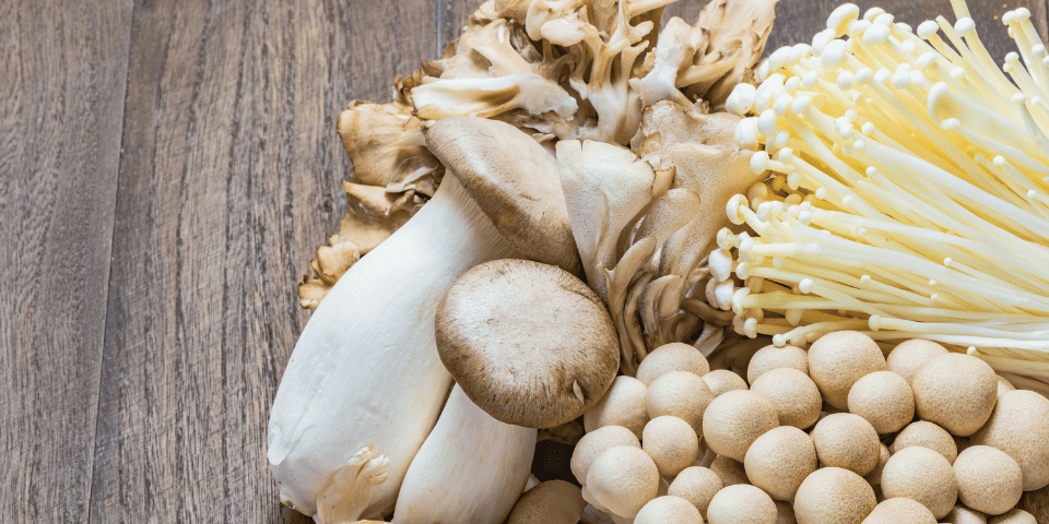 praxens champignons adaptogènes