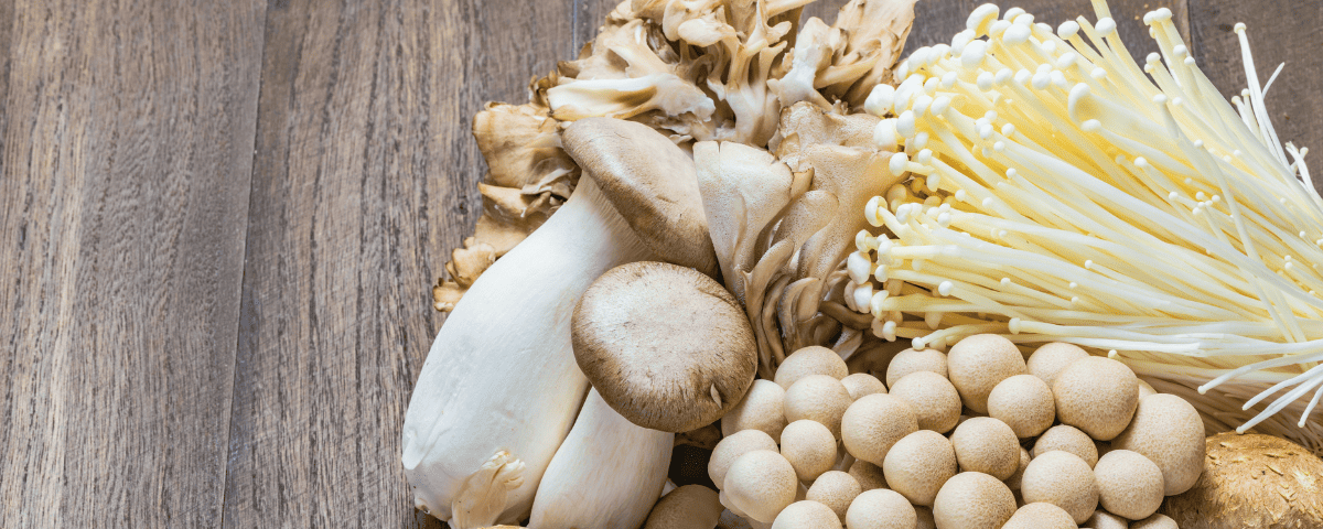 praxens champignons adaptogènes